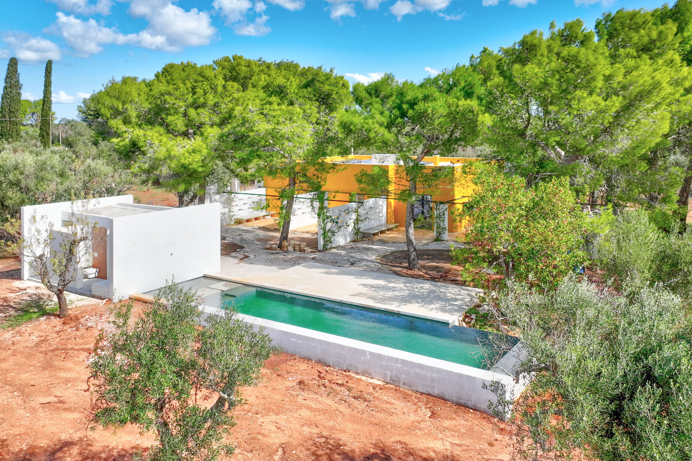 Tranquil Olive Grove Villa in Puglia